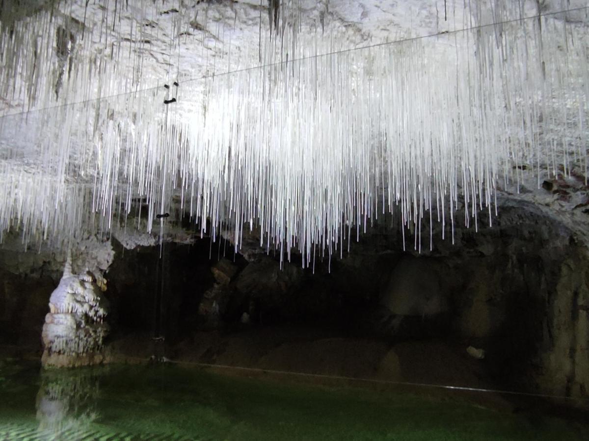 Chambre Genissieux, Vue Sur Vercors Exteriör bild